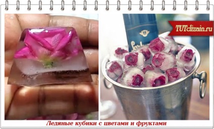 Cuburi de gheață cu fructe și flori de fotografie - design - decor cu mâinile proprii
