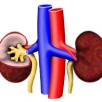 Pulmonális elégtelenség, tünetek, kezelés - szike - orvosi információk - oktatási