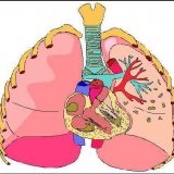 Pulmonális elégtelenség, tünetek, kezelés - szike - orvosi információk - oktatási