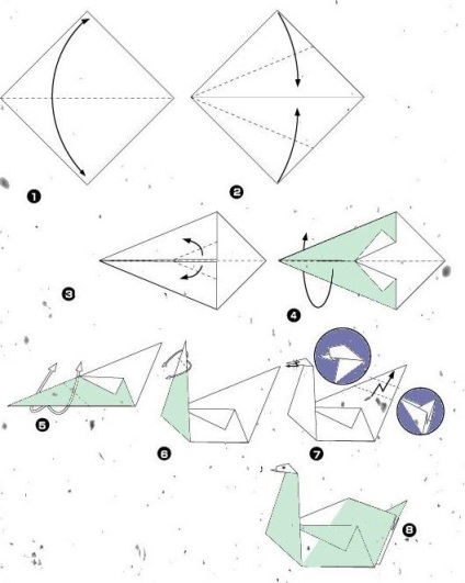 Clasa maestru - o lebădă albă plutește - în tehnica origami - educație preșcolară, activități