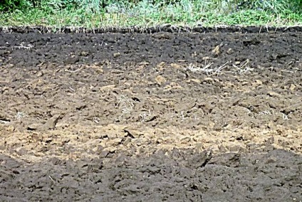 Compoziția mecanică a solului, ce fel de sol pe terenul a șase sute de consilii