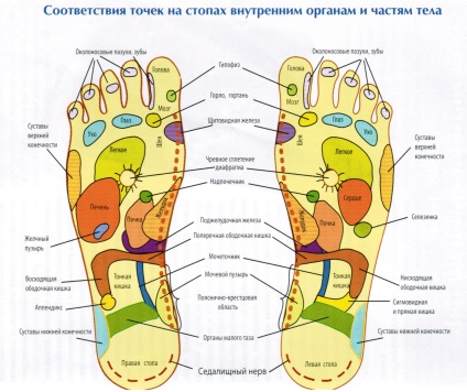 Opinia neurologului expert al copiilor - blog pe copiii noștri - sănătate - de la 0-1 ani - bloguri pandaland