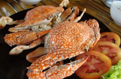 Fructe de mare în Thailanda descriere, poze, prețuri