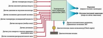 Creierele injectorului - unitatea de comandă electronică, unde sunt injectoare, cum să porniți fără un ebu,