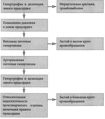 Insuficiența valvei mitrale - reumatologie, defecte cardiace dobândite - intervenții chirurgicale și tratament