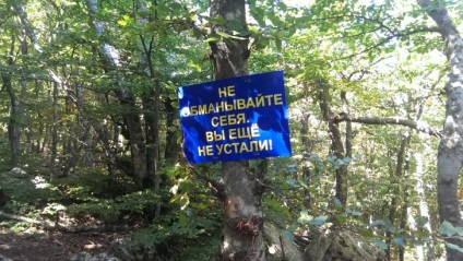 Nu numai plajele goale din Crimeea foto raport despre o excursie în Crimeea - știri de Rouen