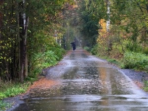 Ai nevoie de pantofi de cauciuc, de reparații de pantofi, de pantofi de îngrijire, de selecție pantofi, de reparații de pantof blog