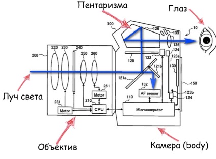 Nuanțele dispozitivului vizor optic al unor camere Nikon, bucurându-se