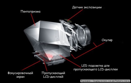 Nuanțele dispozitivului vizor optic al unor camere Nikon, bucurându-se