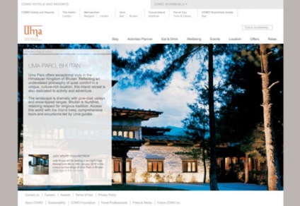 Design și tendințe în designul site-urilor de rezervări ale hotelurilor și al site-urilor web 50 exemple ilustrative