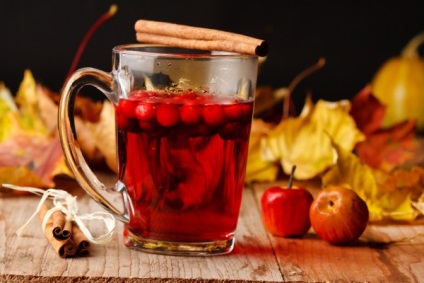 Őszi bogyók az immunitás erősítésére hasznos tulajdonságok és receptek - kulináris tippek a