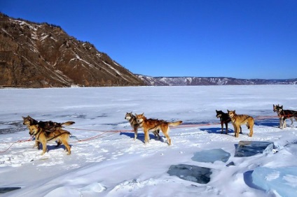 Restul saniei de câini, sănii și snowmobile, articole turistice, turismul din Irkutsk