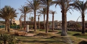 Feedback privind o excursie în Egipt către Hurghada (prima persoană), vreau să călătoresc