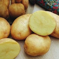 Măști de legume cu mâinile lor - salon de frumusețe - țară mamă