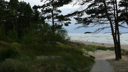 Palanga - excursie de familie cu masina cu câine