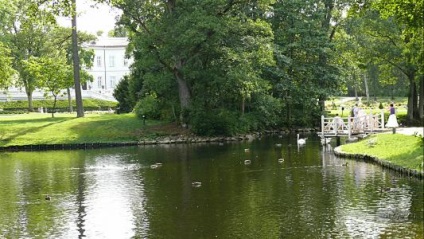 Palanga - excursie de familie cu masina cu câine