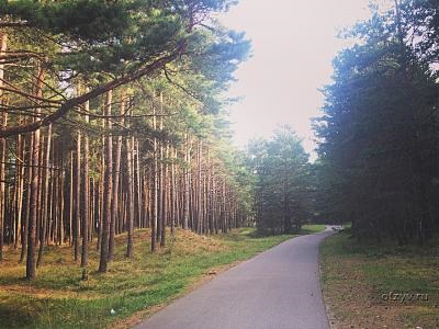 Palanga - excursie de familie cu masina cu câine