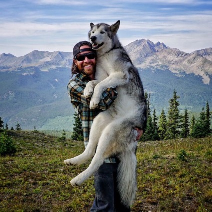 Tipul călătorește cu câinele său peste tot, pentru că nu vrea să o lase singur acasă, umkra