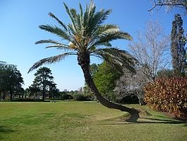 Adamite Park și parcul Rothschild - Israel - atracții