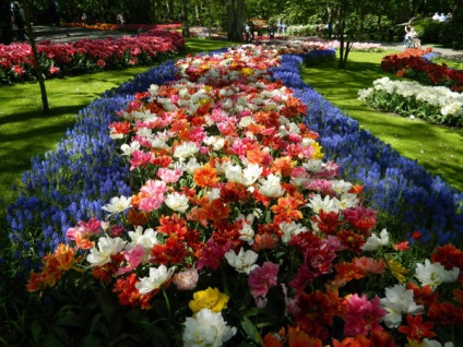 Park Keukenhof, Olanda descriere, fotografie, unde este pe hartă, cum se ajunge