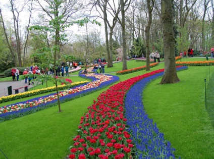 Park Keukenhof, Olanda descriere, fotografie, unde este pe hartă, cum se ajunge