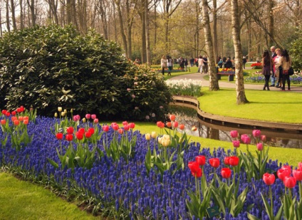 Park Keukenhof, Olanda descriere, fotografie, unde este pe hartă, cum se ajunge