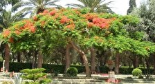 Rothschild Park, atracții, parcuri naționale, ce să vezi, Ierusalim, Israel