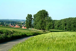 Trecând prin Canalul Mânecii - Marea Britanie, Franța