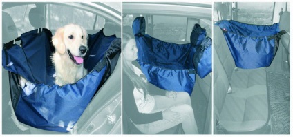 Transportul câinilor într-o mașină reprezintă baza confortului și siguranței