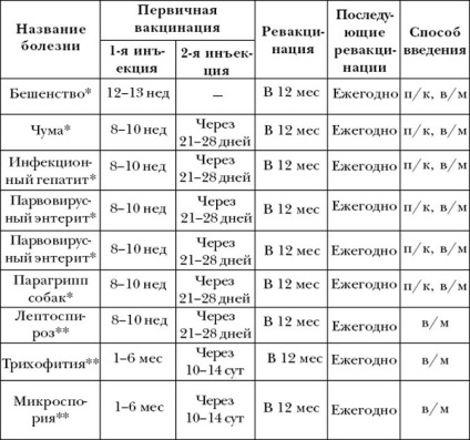 Az első vakcinázás a kutyának, mennyibe kerül, a német juhász, a szabályok