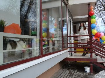 Prima cafenea cu pisici a fost deschisă la Nijni Novgorod - timp și veste de la Novgorod și de Jos