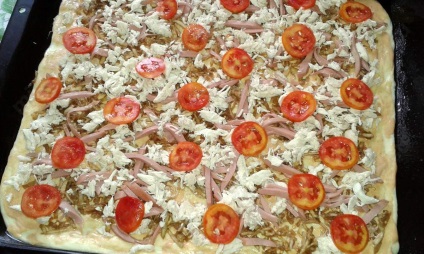 Pizza cu pui și vinete din aluat de drojdie