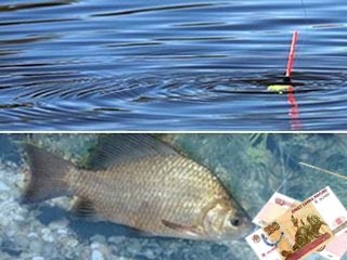 De ce legea federală îneacă pescuitul Amur 24-07-2015