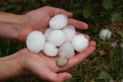 De ce este iulie ploioasă și ce fel de vreme așteaptă pentru Siberia în august