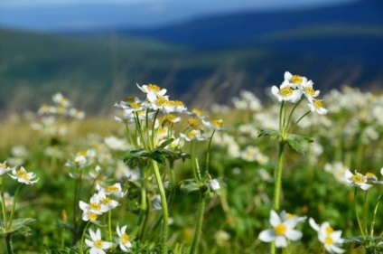 Pe inelul Chuval din rezervație se afla o expediție ecologică, rezervată Rusiei