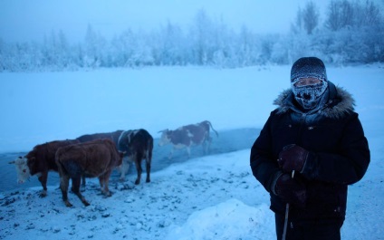 Pole de frig, omyakon, yakutia