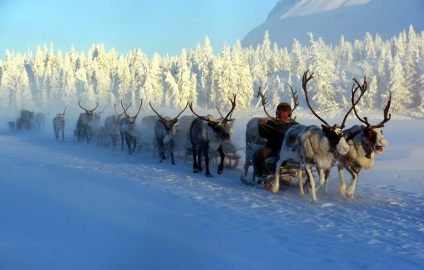 Pole de frig, omyakon, yakutia