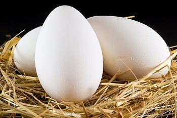 Beneficii și daune de ouă de rață, mâncare și cosmetologie
