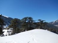 Trekking de-a lungul traseului Lycian - o calatorie Lycian 2017