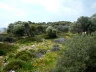 Trekking de-a lungul traseului Lycian - o calatorie Lycian 2017