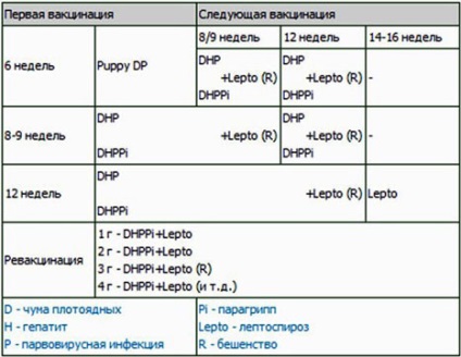 Ваксинации хъски кученца под една година