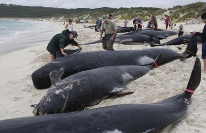 Problema poluării oceanelor - desenarea unui simbol al unei fotografii - poluarea fotografie a apelor oceanelor mondiale