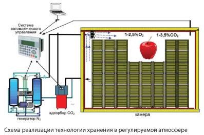 A gyümölcsök és zöldségek tárolásának progresszív technológiája