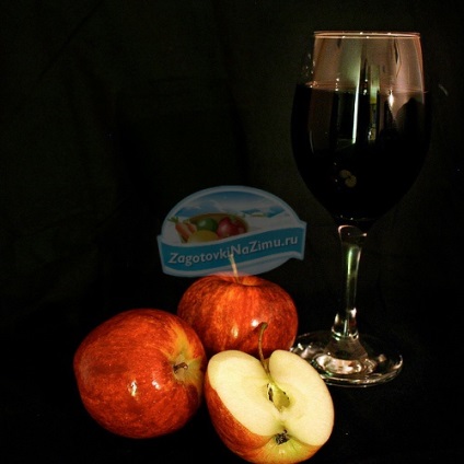 Egyszerű bor az almából a legjobb receptek egy fotóval