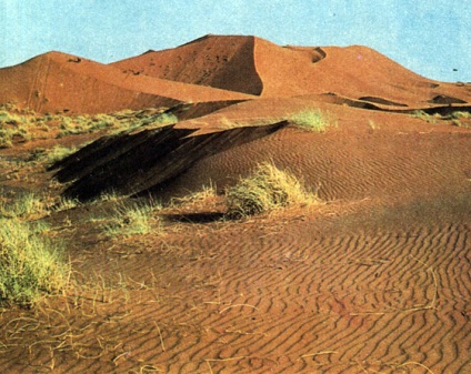 Desert de zahăr 1982 fukarek f, hempel în, hübel g, shuster p, sukkah m