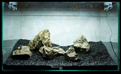 Aranjarea pietrelor și a lemnului de pluș în acvariu