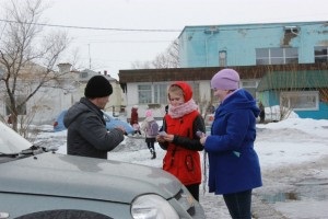 Reuniunea județeană a voluntarilor, 