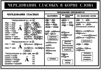 Analiza sarcinii №8 în limba rusă