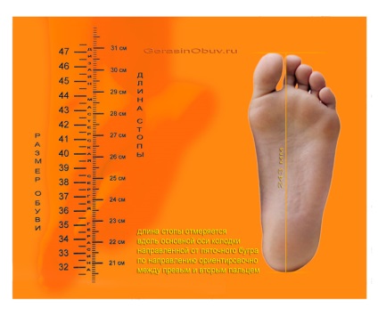 Mărimea pantofului este o masă a dimensiunilor conformității încălțămintei