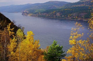 Râul Yenisei caracteristici ale florei și faunei fotografie